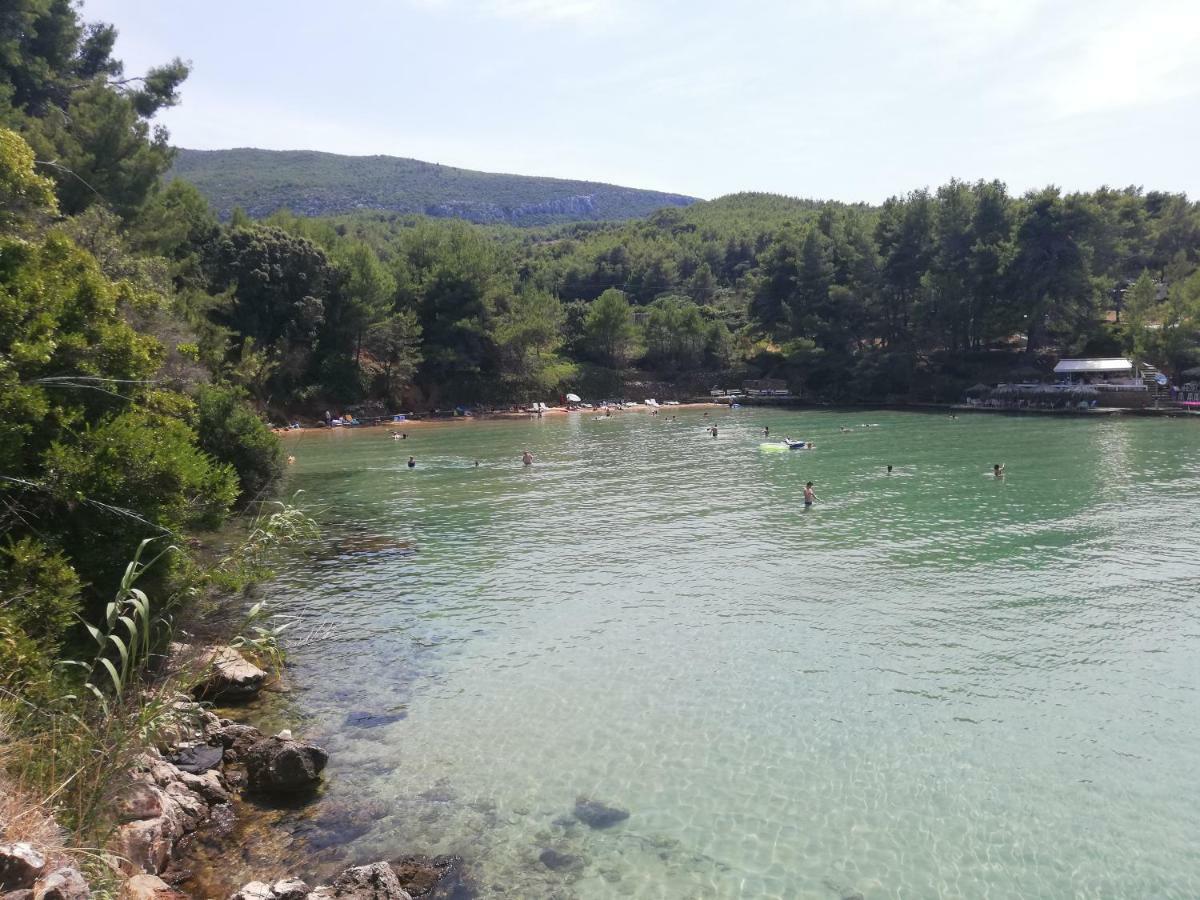Milatic Jelsa (Hvar)